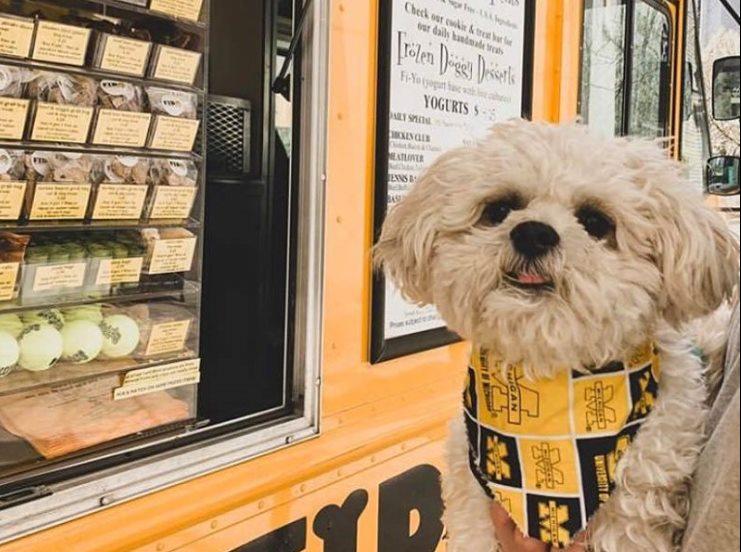 Fido to Go Dog & Cat Treat Food Truck