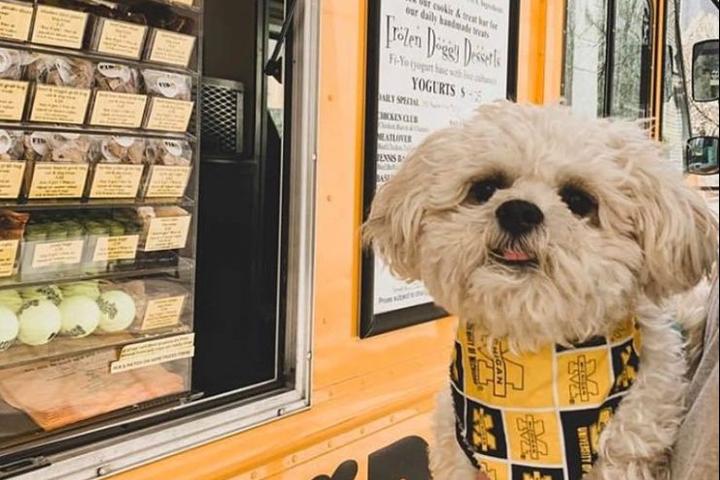 Pet Friendly Fido To Go™ Dog & Cat Treat Food Truck