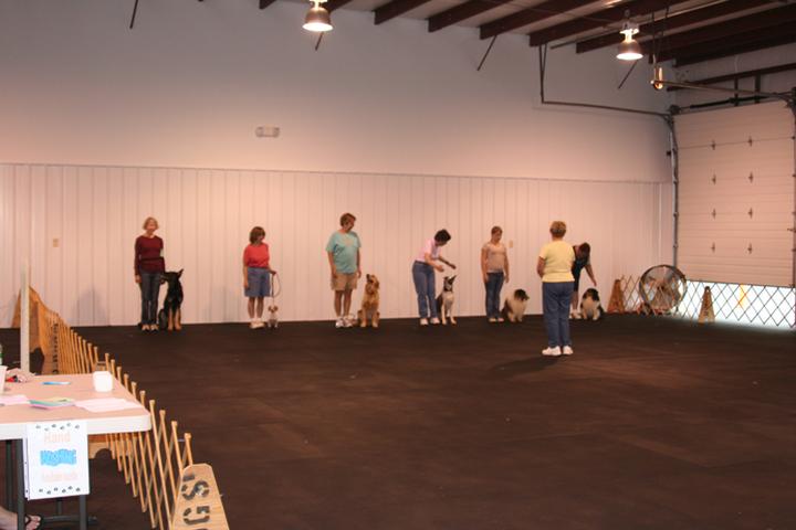 Pet Friendly 4 Paws Spa and Training Center