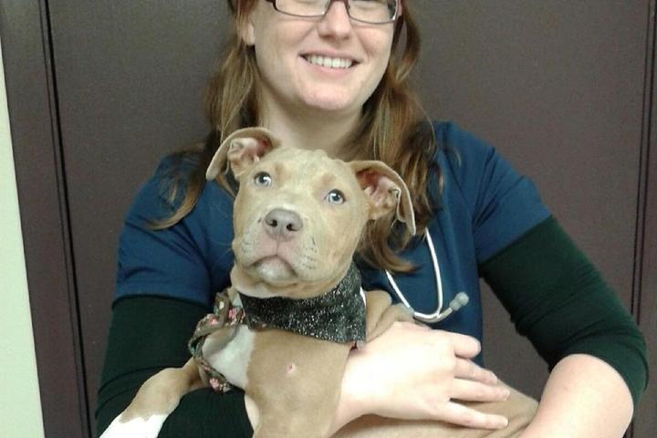 Directory of Veterinarians in Jacksonville, FL - BringFido Directory of Veterinarians in Jacksonville, FL - BringFido