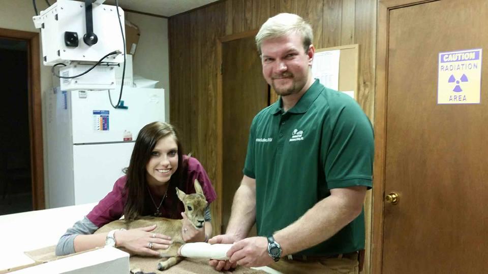 Pet Friendly Chisholm Trail Veterinary Clinic of Gonzales