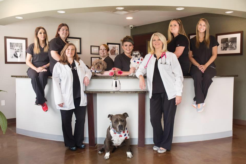 Pet Friendly Animal Medical Center of Tyler