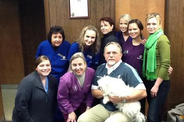 Touhy Animal Hospital Touhy Animal Hospital