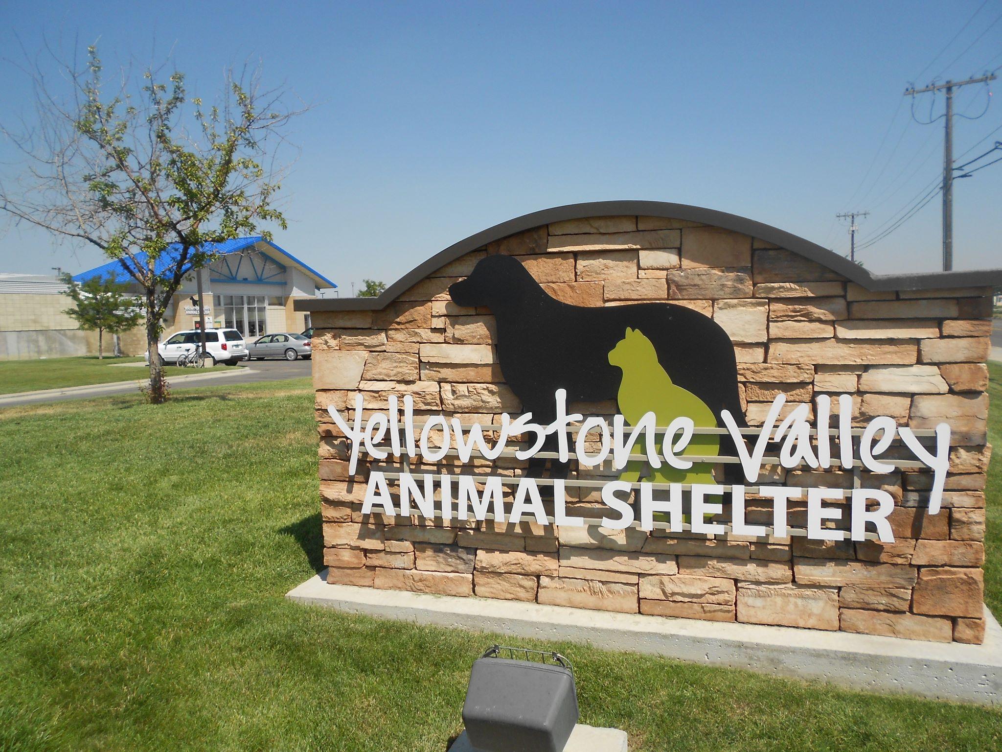 Pet Friendly Yellowstone Valley Animal Shelter