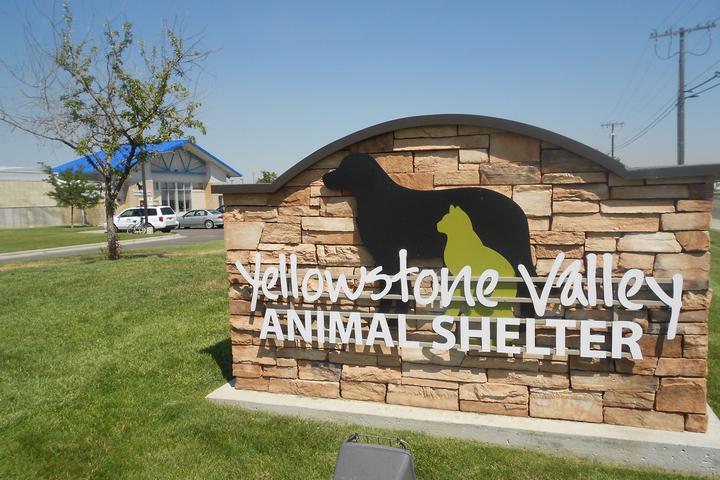 Pet Friendly Yellowstone Valley Animal Shelter