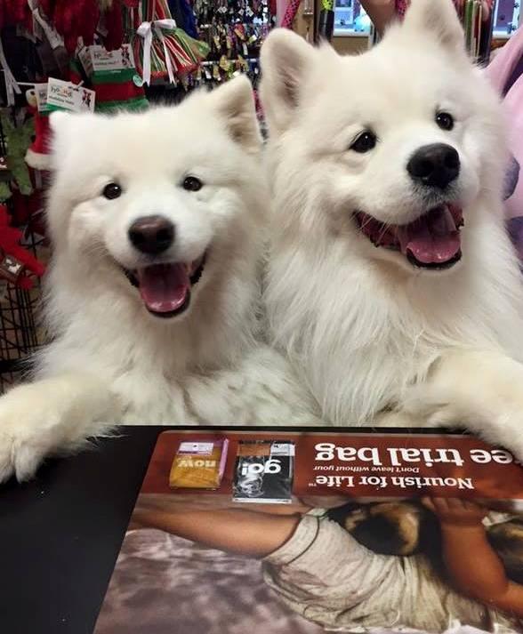 Directory of Pet Stores in The Villages FL BringFido