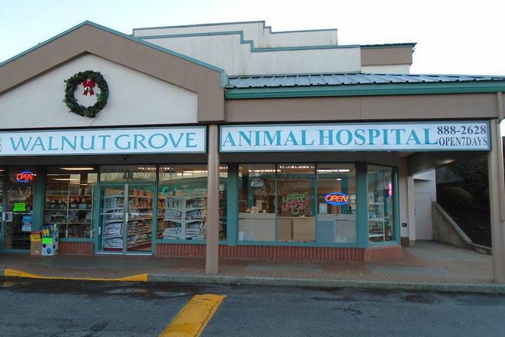 Pet Friendly Walnut Grove Animal Hospital