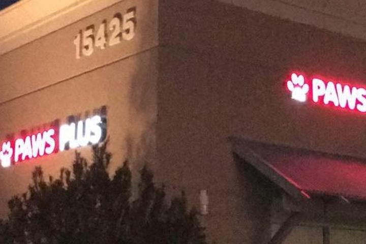 Pet Friendly Paws Plus Dog Day Care