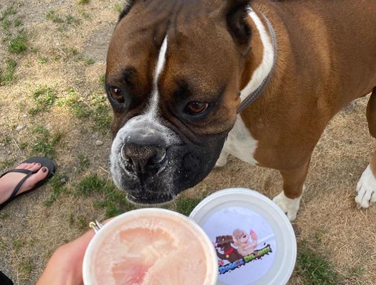 JB's Doggie Delite, an Ice Cream Truck for Dogs, Comes to Sarasota
