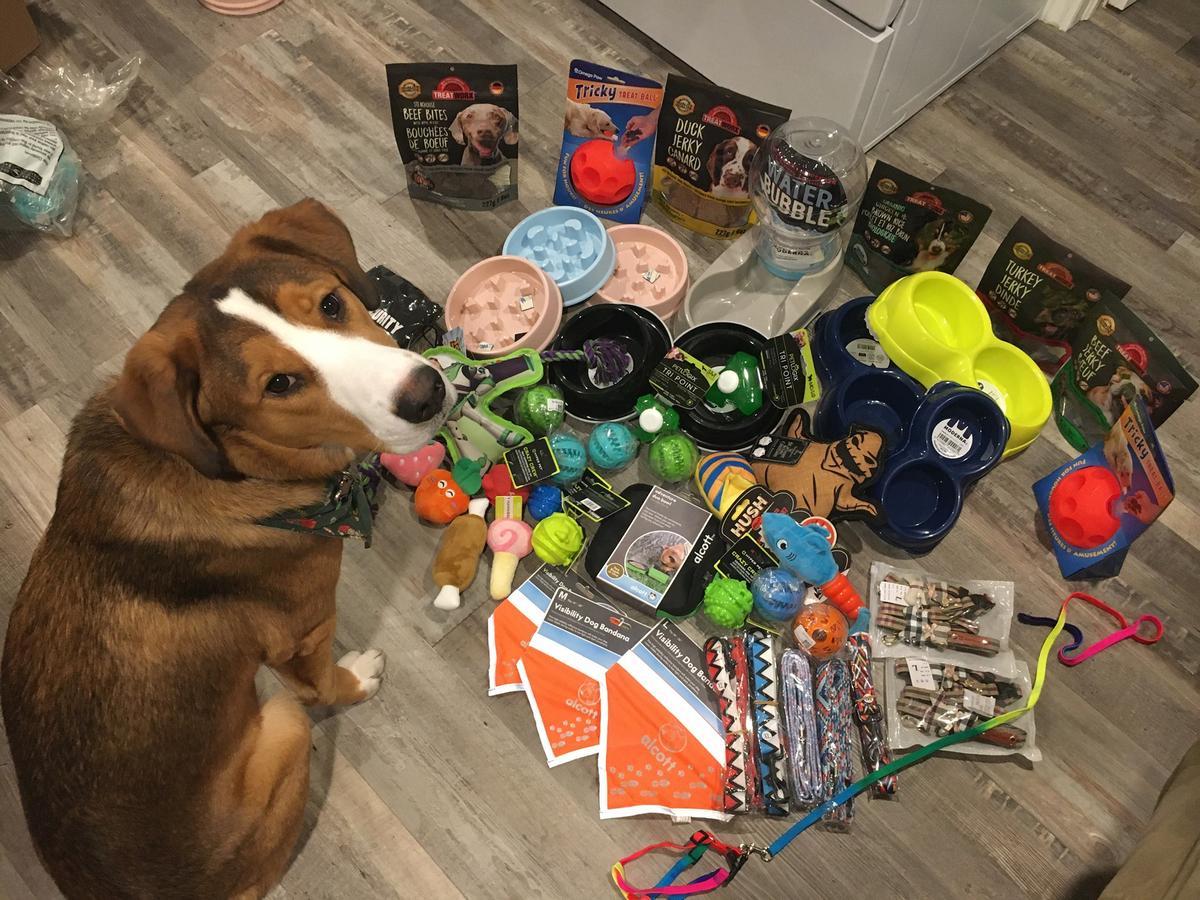 Pet supply depot on sale