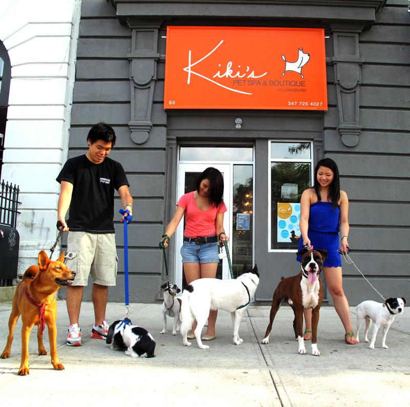 Kiki's pet spa cheap & boutique