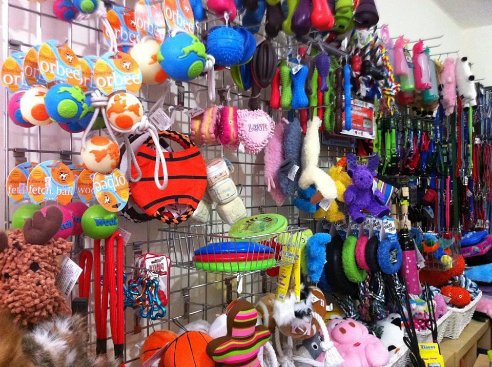 Directory of Pet Stores in Mexico the Caribbean BringFido