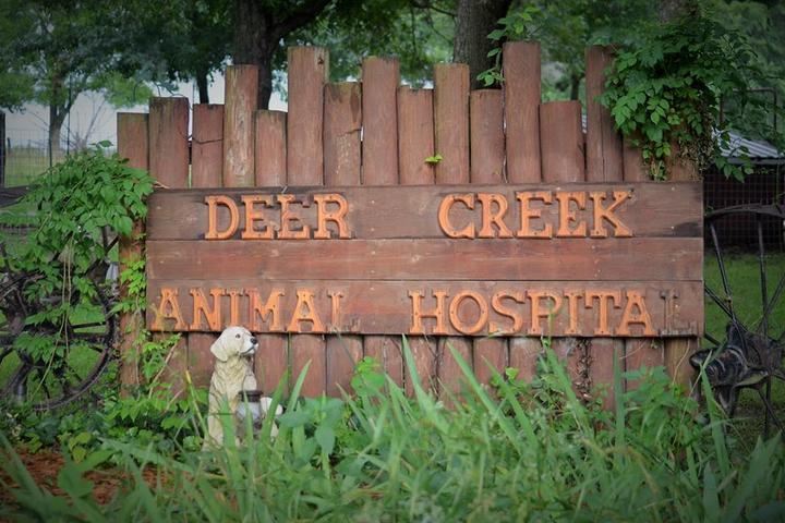 Pet Friendly Deer Creek Animal Hospital