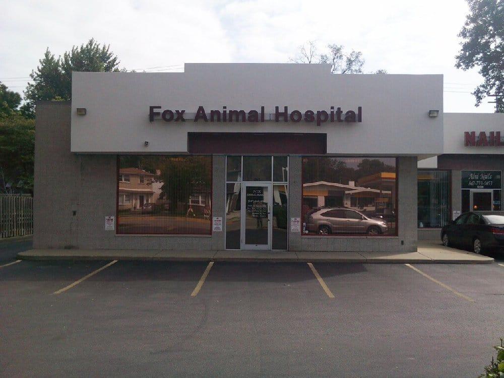 Fox Animal Hospital