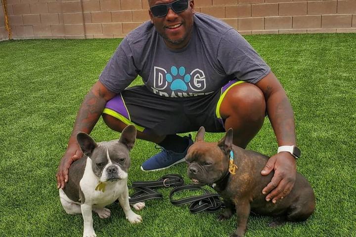 Pet Friendly Las Vegas Dog Yard