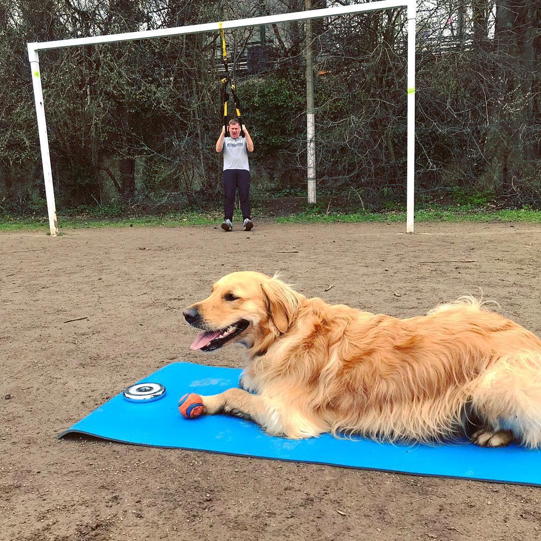 Pet Friendly Power Paws Fitness