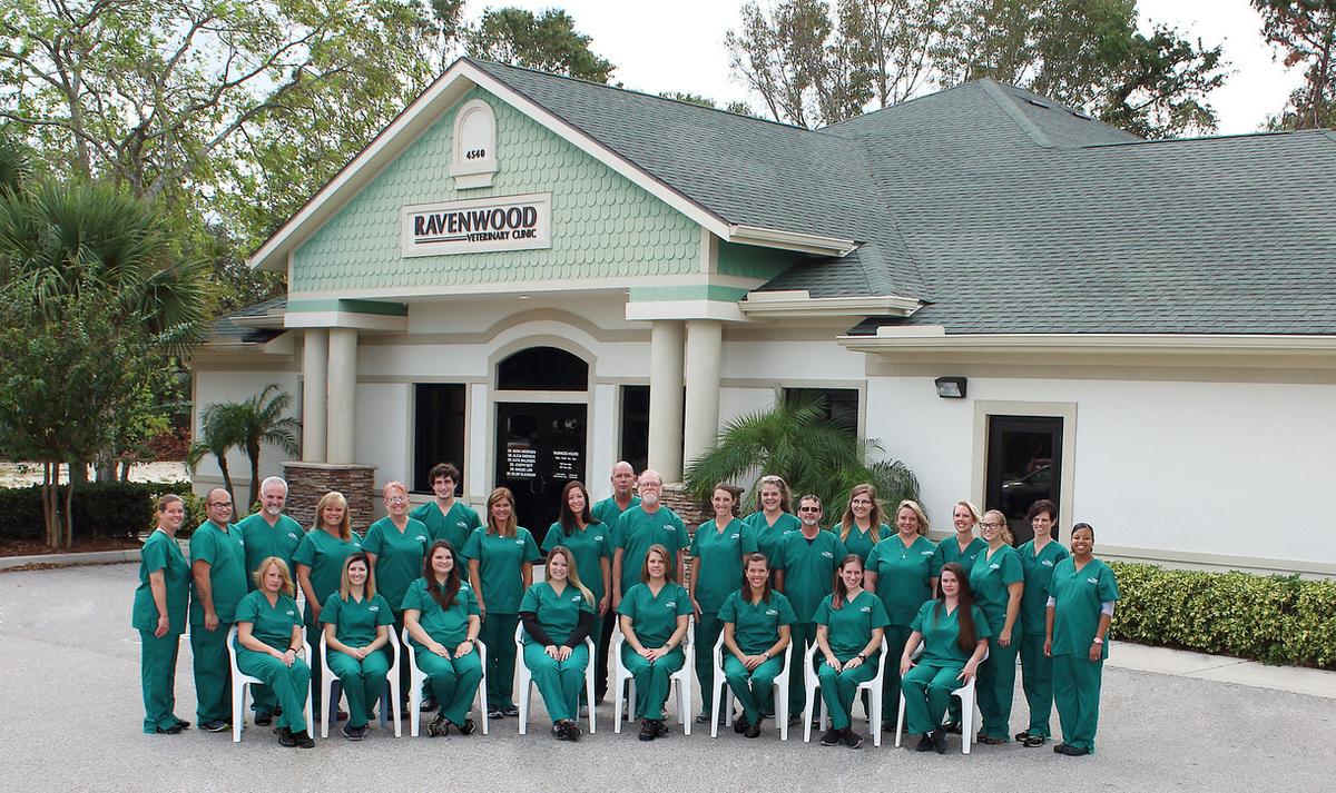 Edgewater outlet veterinary clinic