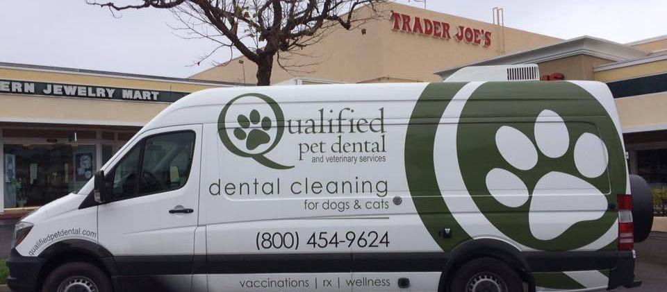 Qualified Pet Dental Qualified Pet Dental