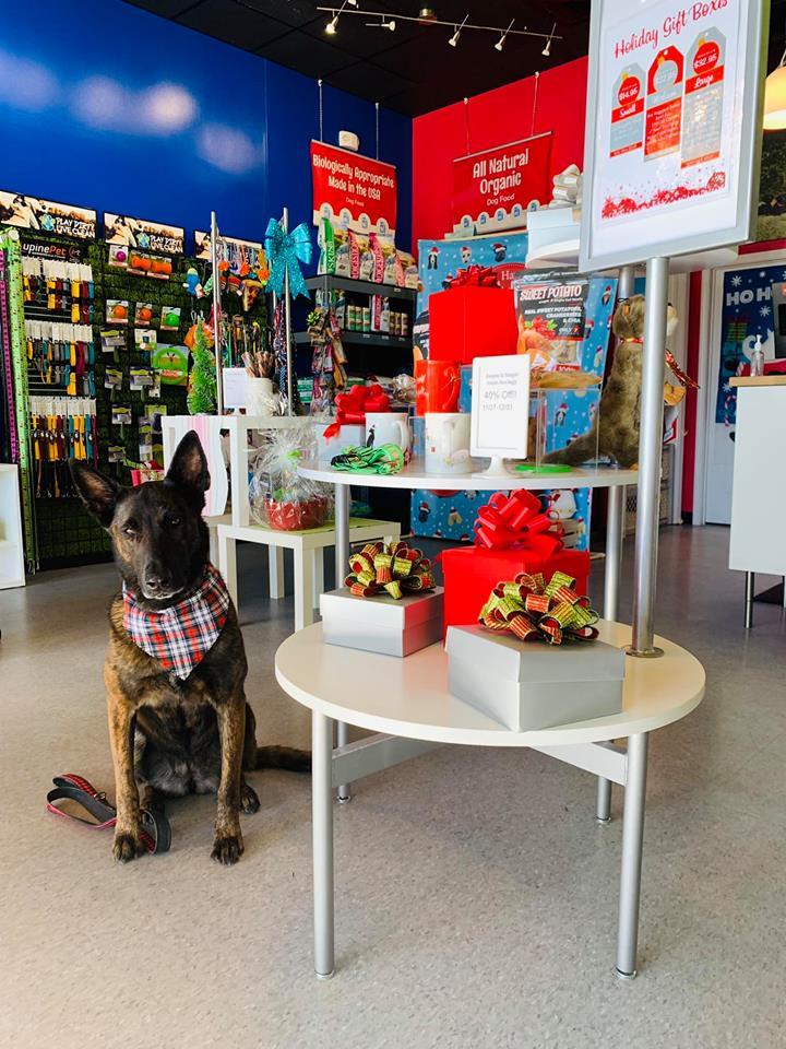 Seven dogs grooming cheap