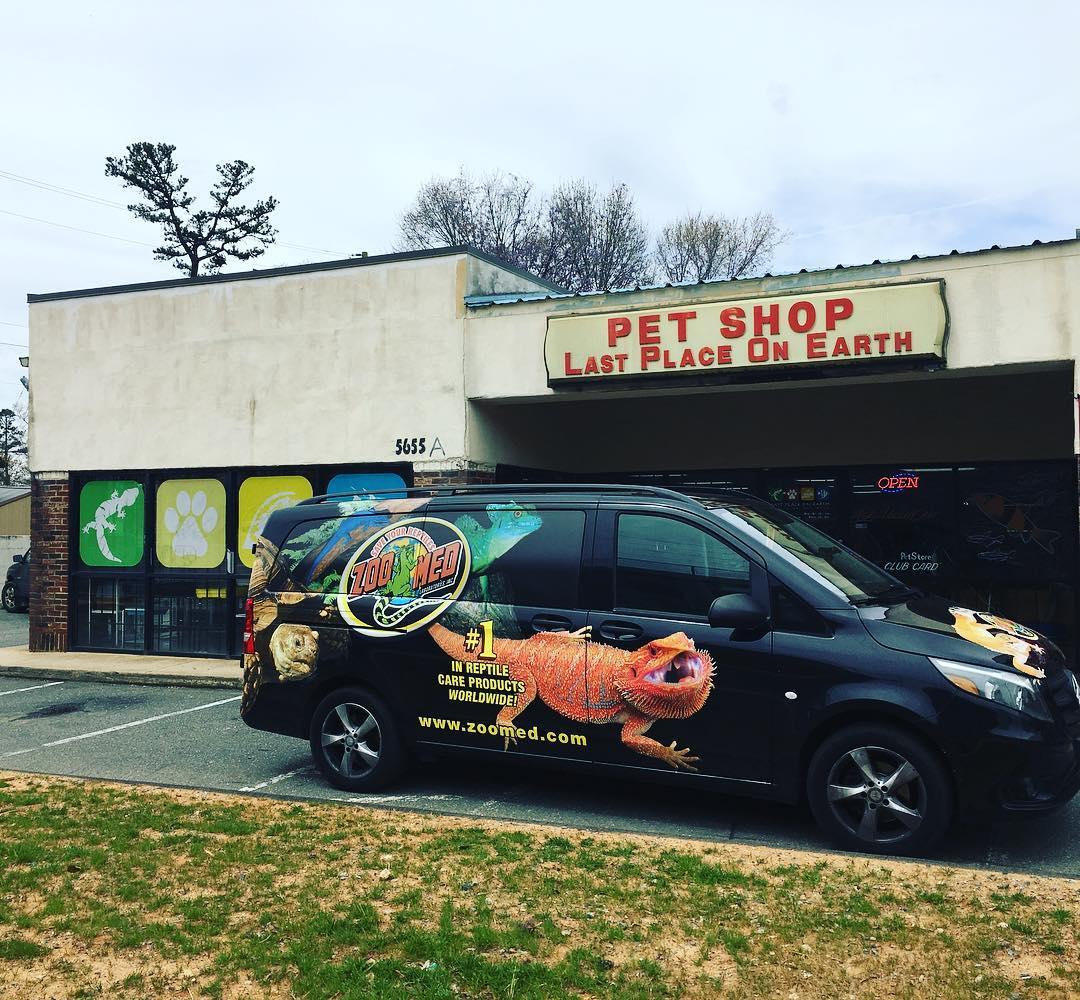 Last place on earth pet shop new arrivals