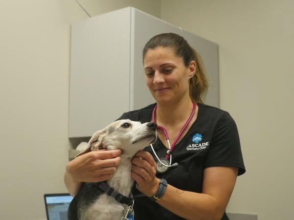 Pet Friendly Cascade Veterinary Clinics Leavenworth