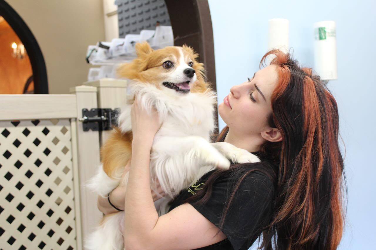 Pet Friendly The Zuri Pet Spa & Resort Rancho Mission Viejo