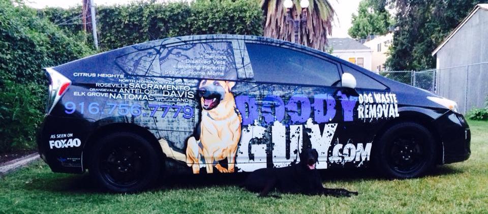 Doody Guy Doody Guy