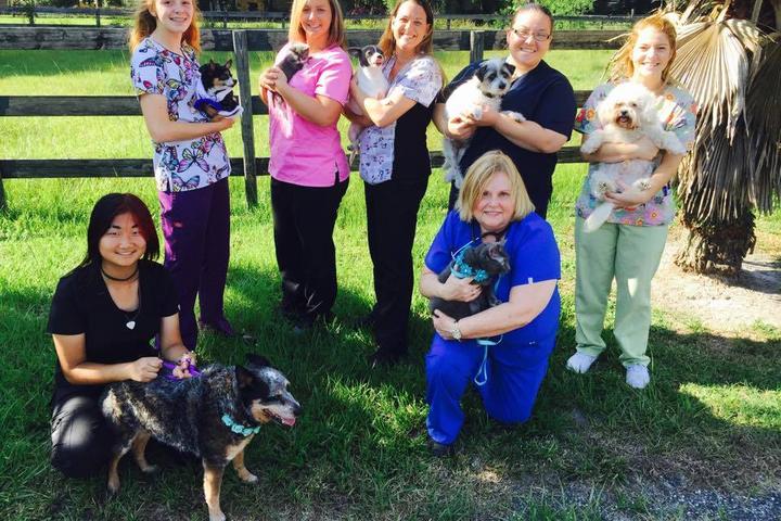 Pet Friendly Crystal Springs Veterinary Clinic