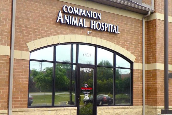 Pet Friendly Companion Animal Hospital of Vernon Hills