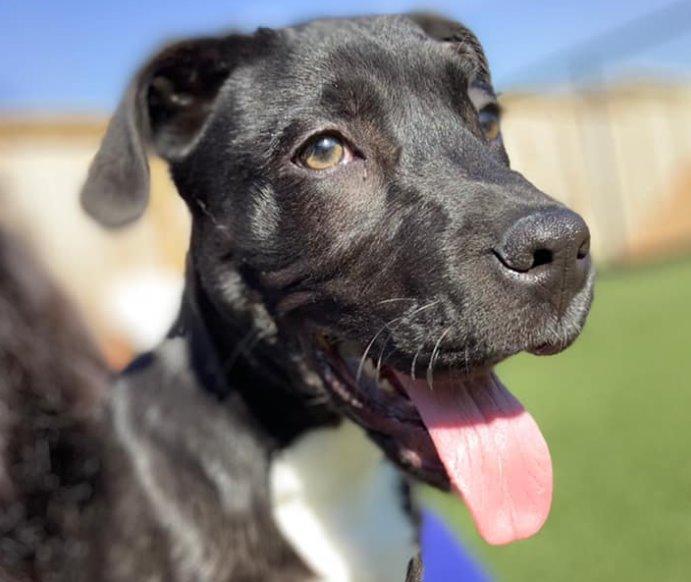 Oxford Veterinary Clinic