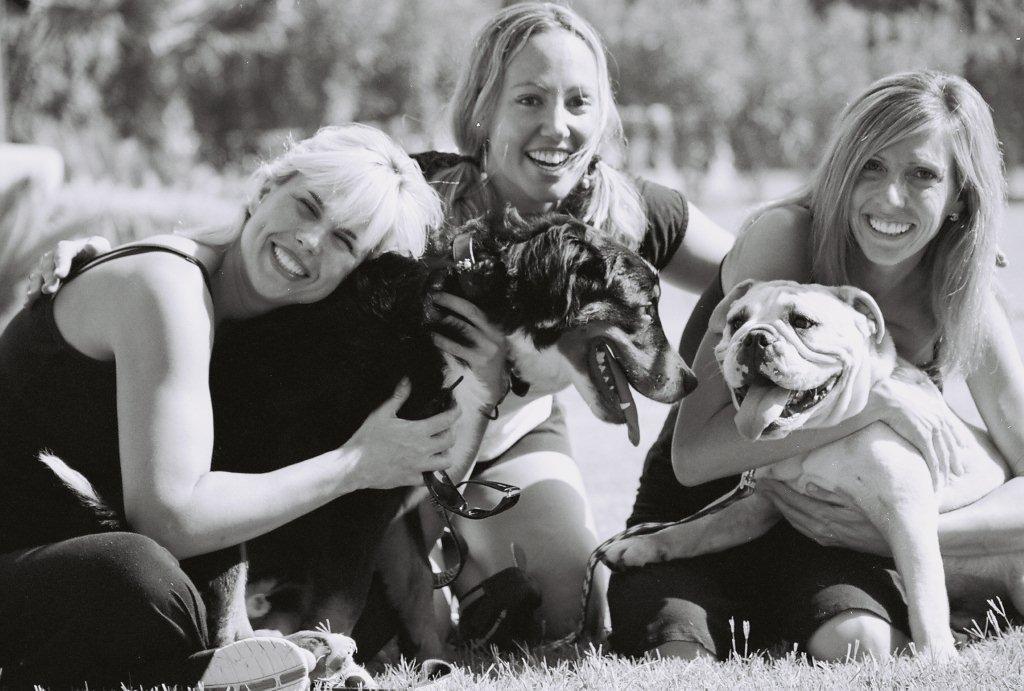 Pet Friendly Doggie-Smyle