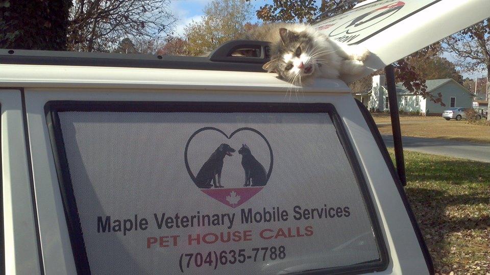 Pet Friendly Maple Veterinary Mobile Services