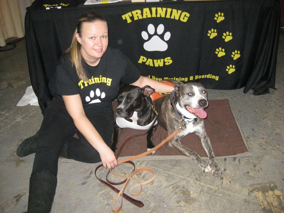 Pet Friendly Training Paws, LLC