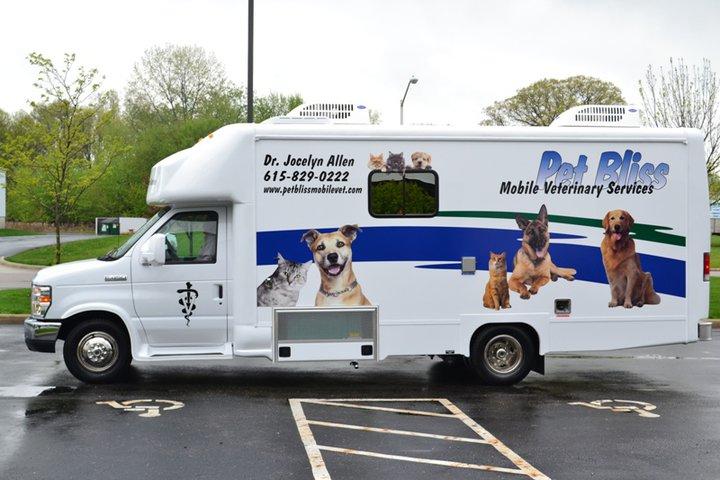 Top Veterinarians Worldwide Bringfido