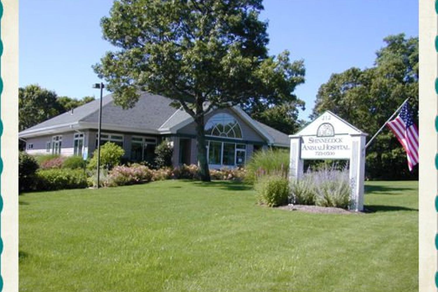 Shinnecock Animal Hospital Shinnecock Animal Hospital