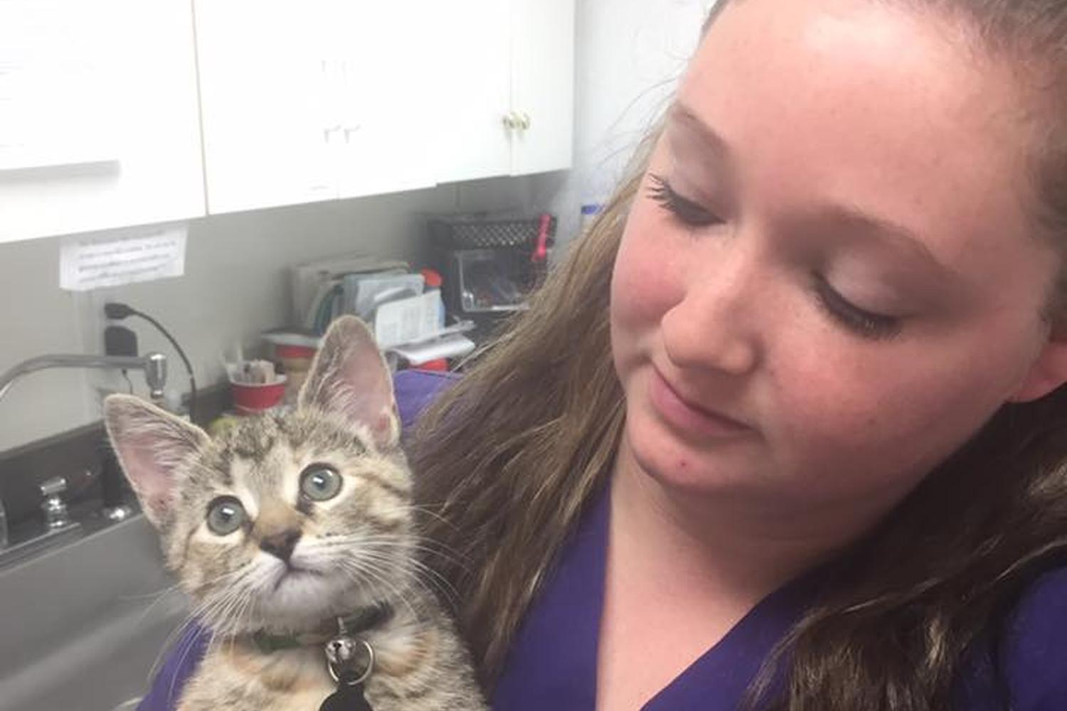 Milford Animal Clinic Inc Milford Animal Clinic Inc