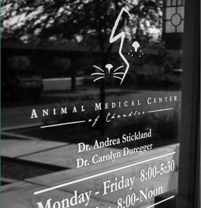 Pet Friendly Animal Medical Center of Chandler