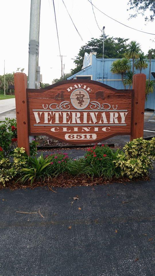 Pet Friendly Davie Veterinary Clinic