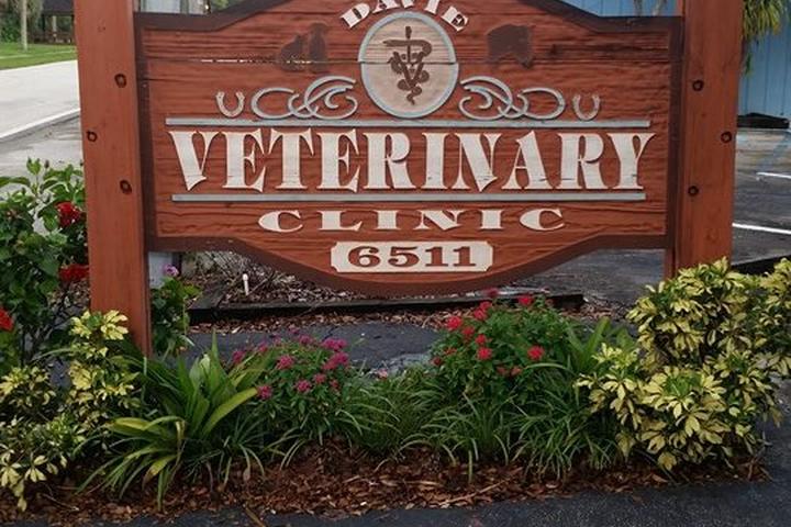 Pet Friendly Davie Veterinary Clinic