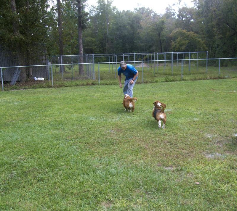 Bloxam Boarding Kennels