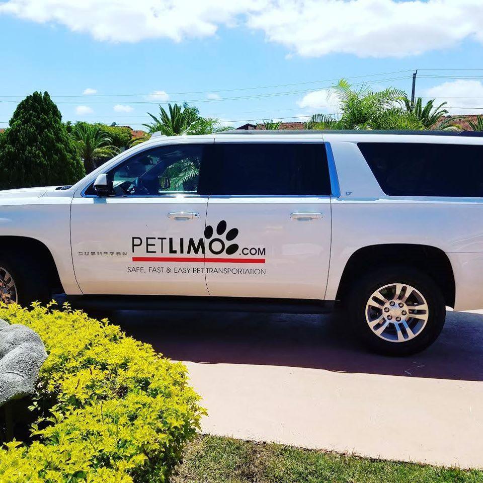 Pet Friendly Pet Limo Animal Care and Relocation Services