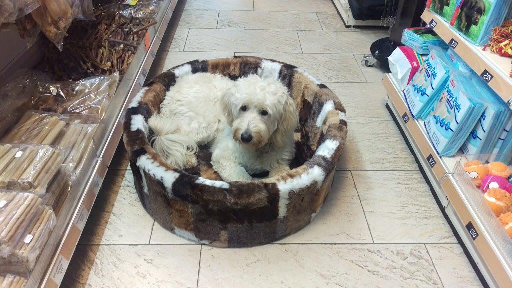 Directory of Pet Stores in Amsterdam NL BringFido