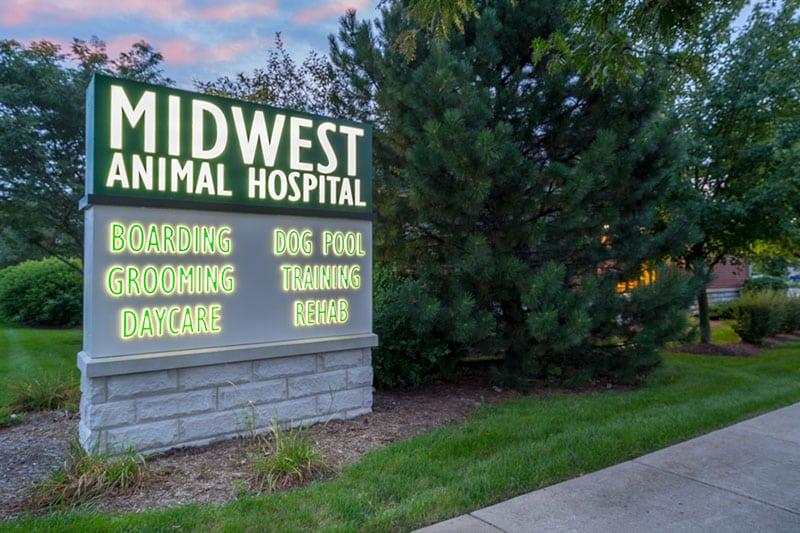 Pet Friendly Midwest Animal Hospital
