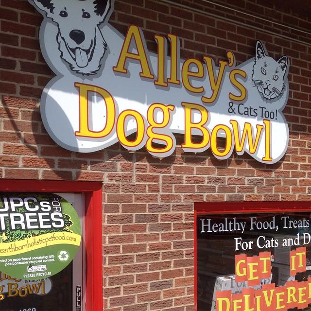 Pet Friendly Alley's Dog Bowl