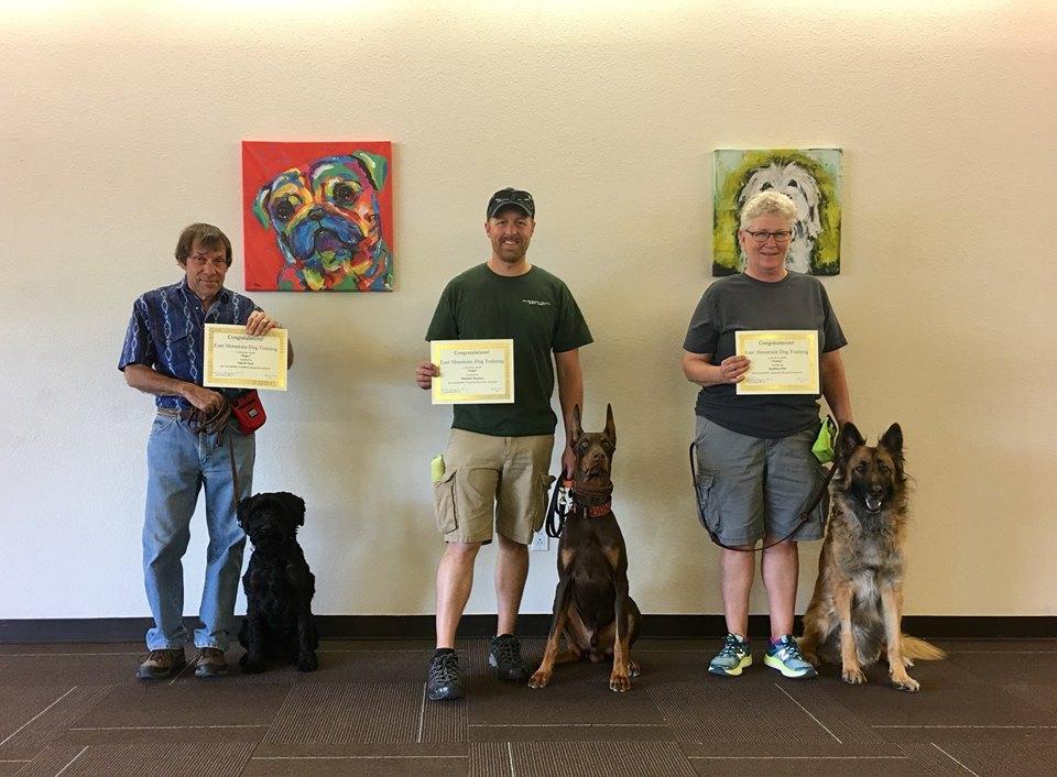 Pet Friendly New Mexico Dog Training Academy, LLC