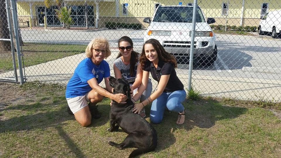 Pet Friendly The Humane Society of St. Lucie County