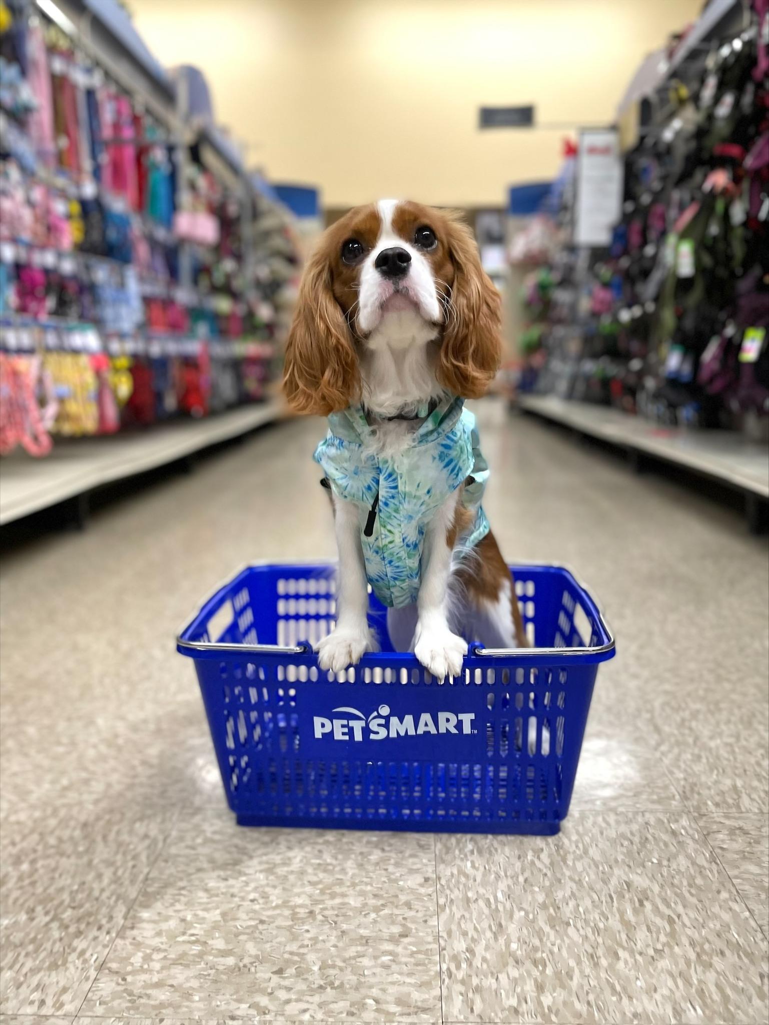 Petsmart Hotel Price List - vrqmfbi