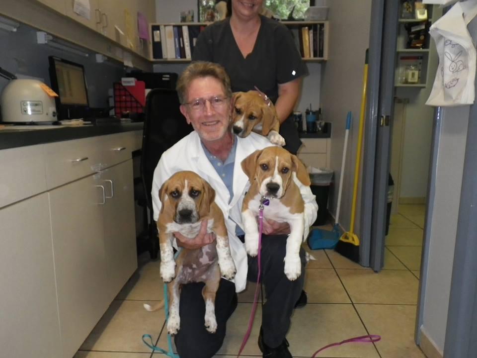 Debary Animal Clinic