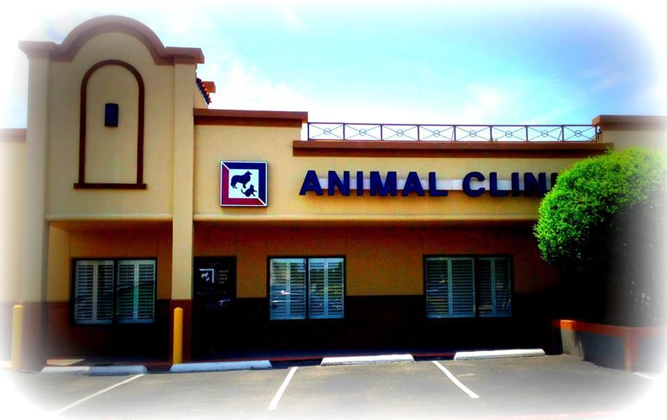 Pet Friendly Lancers Square Animal Clinic