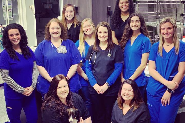 Pet Friendly Chester County Animal Hospital